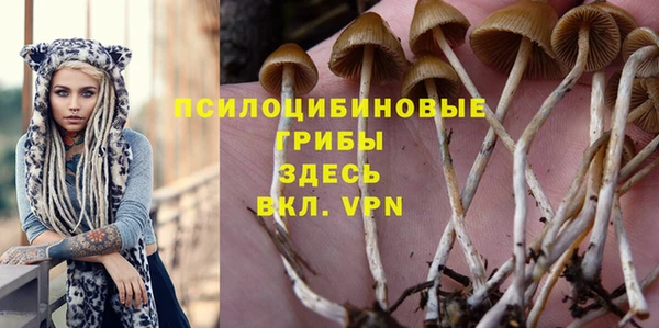 mdpv Алексеевка